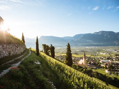 Ihr Hotel in Tramin: ein Genussort inmitten der Weinberge Sonnenaufgang über Weinbergen mit Blick auf Dorf und Berge im Tal